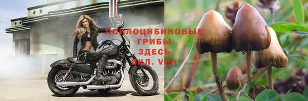 амф Переславль-Залесский