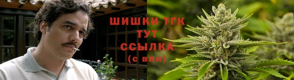эйфоретик Дубна