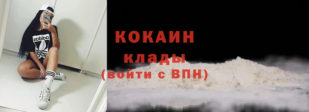Альфа ПВП Пестово
