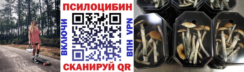 Галлюциногенные грибы мицелий  закладки  Ржев 