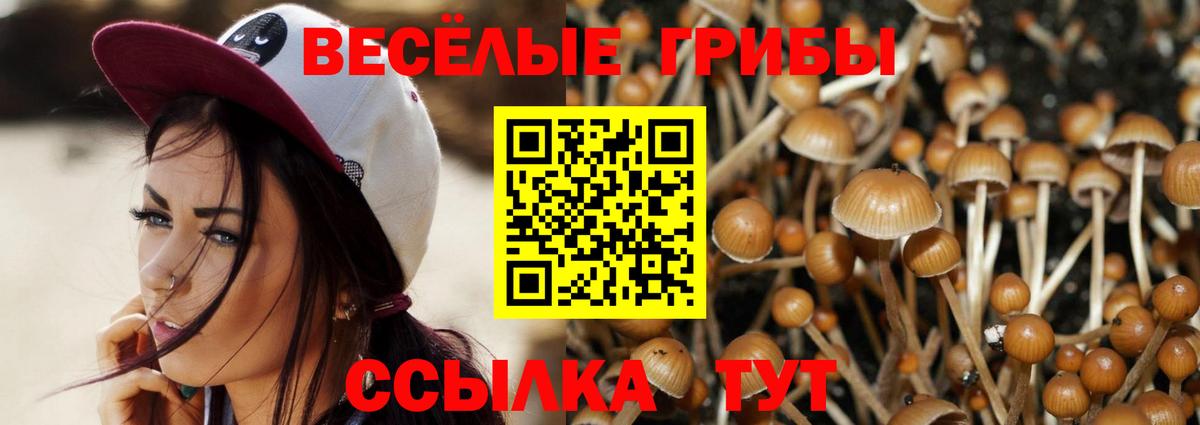 Галлюциногенные грибы мицелий  как найти закладки  Ржев  Вход с VPN 